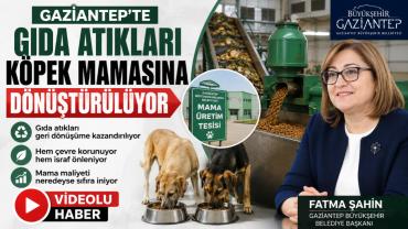 Gaziantep'te gıda atıkları köpek mamasına dönüştürülüyor