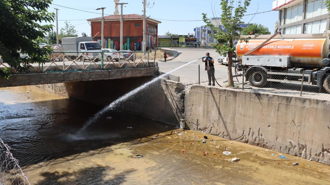Şanlıurfa’da haşerelere karşı yoğun mücadele