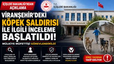 Viranşehir'deki köpek saldırısına müfettiş görevlendirmesi