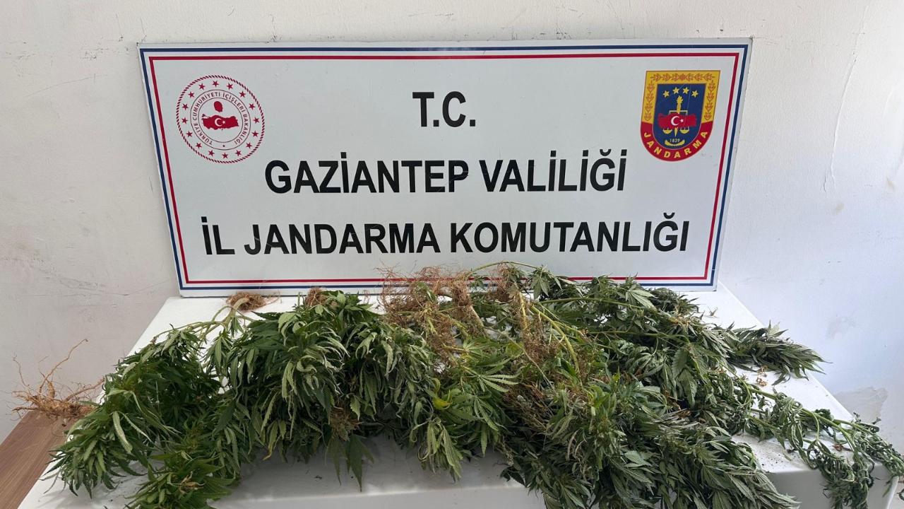 Otomatik Taslak
