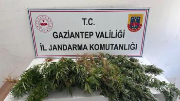 Gaziantep'te uyuşturucu operasyonu