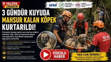 3 gündür kuyuda mahsur kalan köpek kurtarıldı