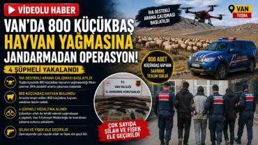 Van'da 800 hayvan yağmasına jandarma darbesi