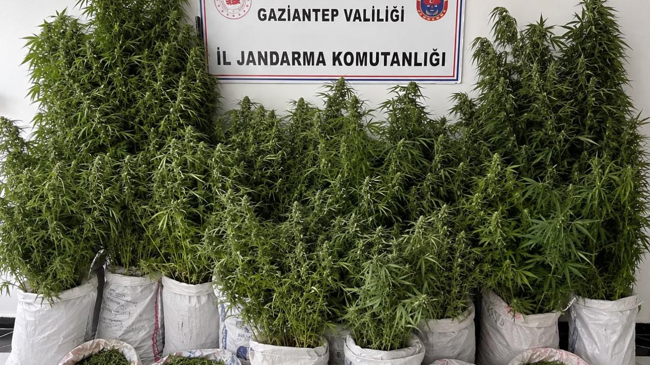 Otomatik Taslak