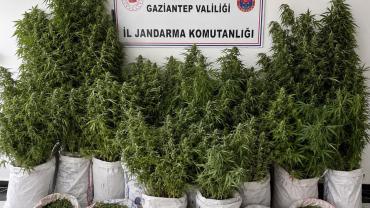 Kaçakçılık ve uyuşturucuya 311 gözaltı